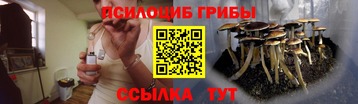 Ялта  Псилоцибиновые грибы Psilocybe  что такое наркотик  Вход с VPN  Галлюциногенные грибы ЛСД 